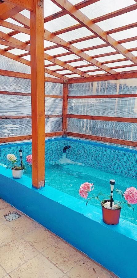 伯伊莱海尔库拉内 Pensiunea Floare De Colt酒店 外观 照片